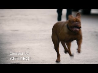 turner and hooch s01e08 web-dl 1080p rus eng